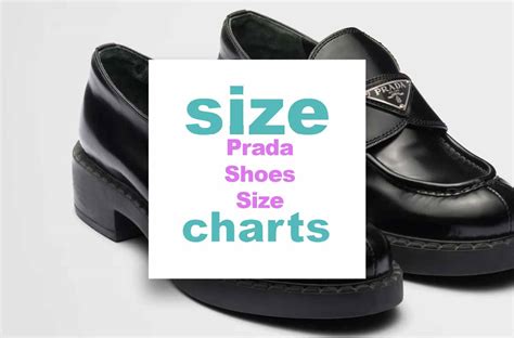 prada plus size models|prada shoe sizing.